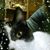 Michelle Simons's profile image