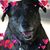 Maria Mccallum's profile image