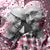 Anthony Loy-Howell's profile image