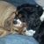 Sue Ann Gherges's profile image