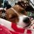 Michelle Miller - Eicher's profile image