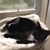 Heidi Ewald Leigh's profile image