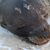 Michael Dowe's profile image