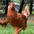 Amy Seabolt Combs's profile image