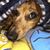Nova Williams's profile image