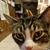 Gloria Welniak's profile image