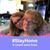 Brina Anelli-Tyrrell's profile image