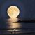 Maria Gonzalez's profile image