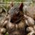 Jose Pichardo's profile image