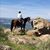 Darlene Harman's profile image