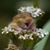 Sharon Rose's profile image