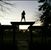 Carlene Heineman Dexter's profile image