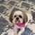 Gladys Allen Strickland's profile image