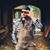 Kevin Isabelle Jr.'s profile image