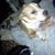 Nancy Stoy's profile image