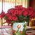 Sharon Holzer's profile image
