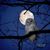 Sandee Munay's profile image