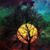 Pam Stewart Caulkins's profile image