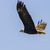 Jan LaPlante Castonia's profile image