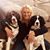 Kim Guthrie McCoy's profile image