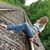 Cindy Spires's profile image