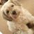 Heather Daniels Nickerson's profile image
