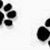 Elizabeth Anderson's profile image