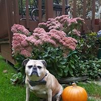 Michele Eckard Robertson's profile image