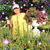 Jeannette Bohecker Tringhese's profile image