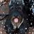 Cyndi Wermke Bender's profile image