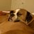 Wayne McClintock's profile image