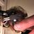 Gene Sasso's profile image