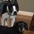 Jane Allison's profile image