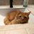Michelle Anderson's profile image