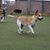 Beth Kuhn Baran's profile image