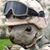 Shannon Boyd's profile image
