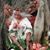 Debra Johanson's profile image