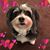 Wendy Peterson's profile image