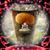 Jill Portnoy Anderson's profile image