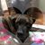 Heather Yarbrough-Stapleton's profile image