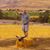 David Metzger's profile image