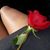 Tiffany S McCollum's profile image