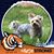 Terry Stinson's profile image