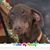 Jeanette Taylor Eby's profile image