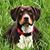 Darla McComas's profile image