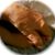Eve Kastenbaum's profile image