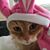 Kimberly Johnson's profile image