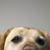 Gus Stockard's profile image