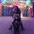 Melissa Puga Thrives's profile image