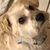 Mary-Anne Murphy Haver's profile image